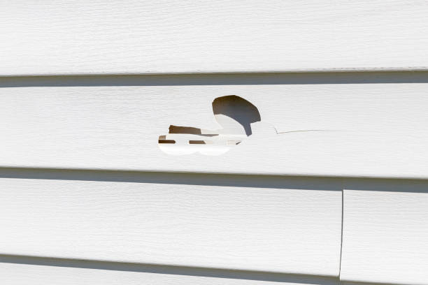 Best Insulated Siding Installation  in Baker, MT