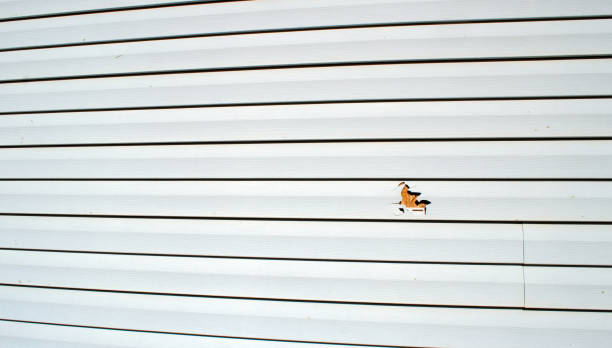Best Engineered Wood Siding  in Baker, MT