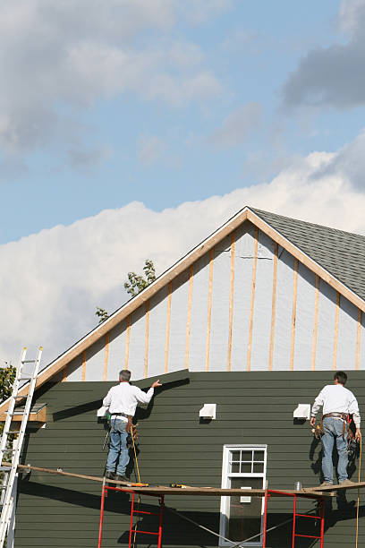 Best Custom Siding Design  in Baker, MT