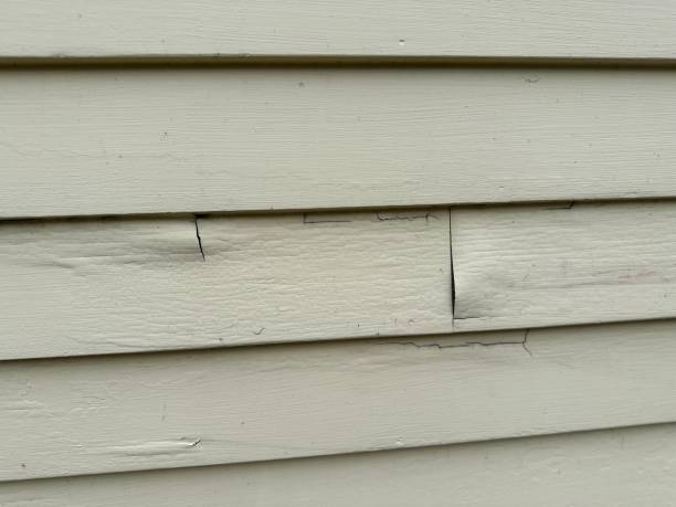 Best Siding Removal and Disposal  in Baker, MT